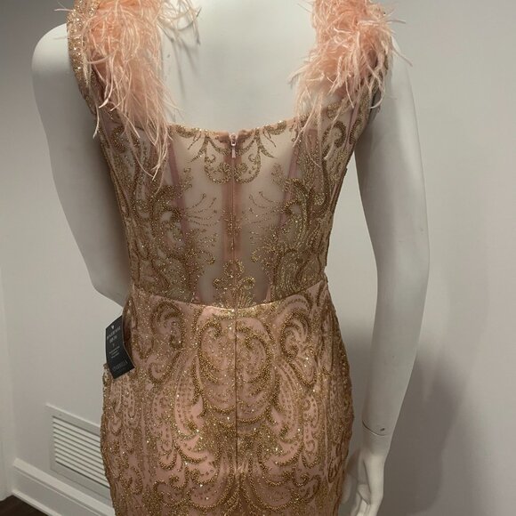 Glamorous Blush Maxi Dress with Feather Accents - Picture 7 of 10